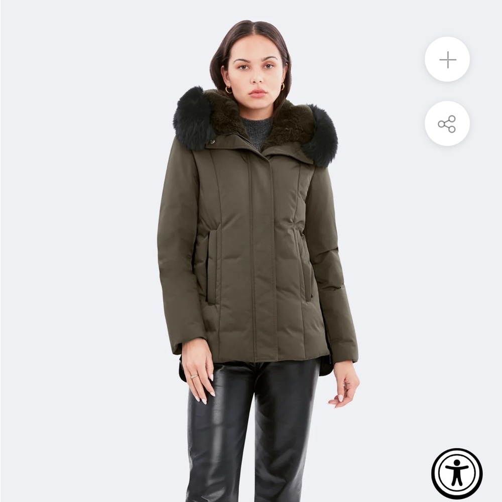 Dawn Levy jacket